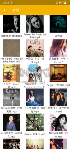 FV文件管理专业版破解版