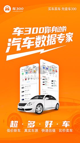车300二手车app官网最新版