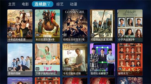 TVBox电视盒子2024最新内置接口版