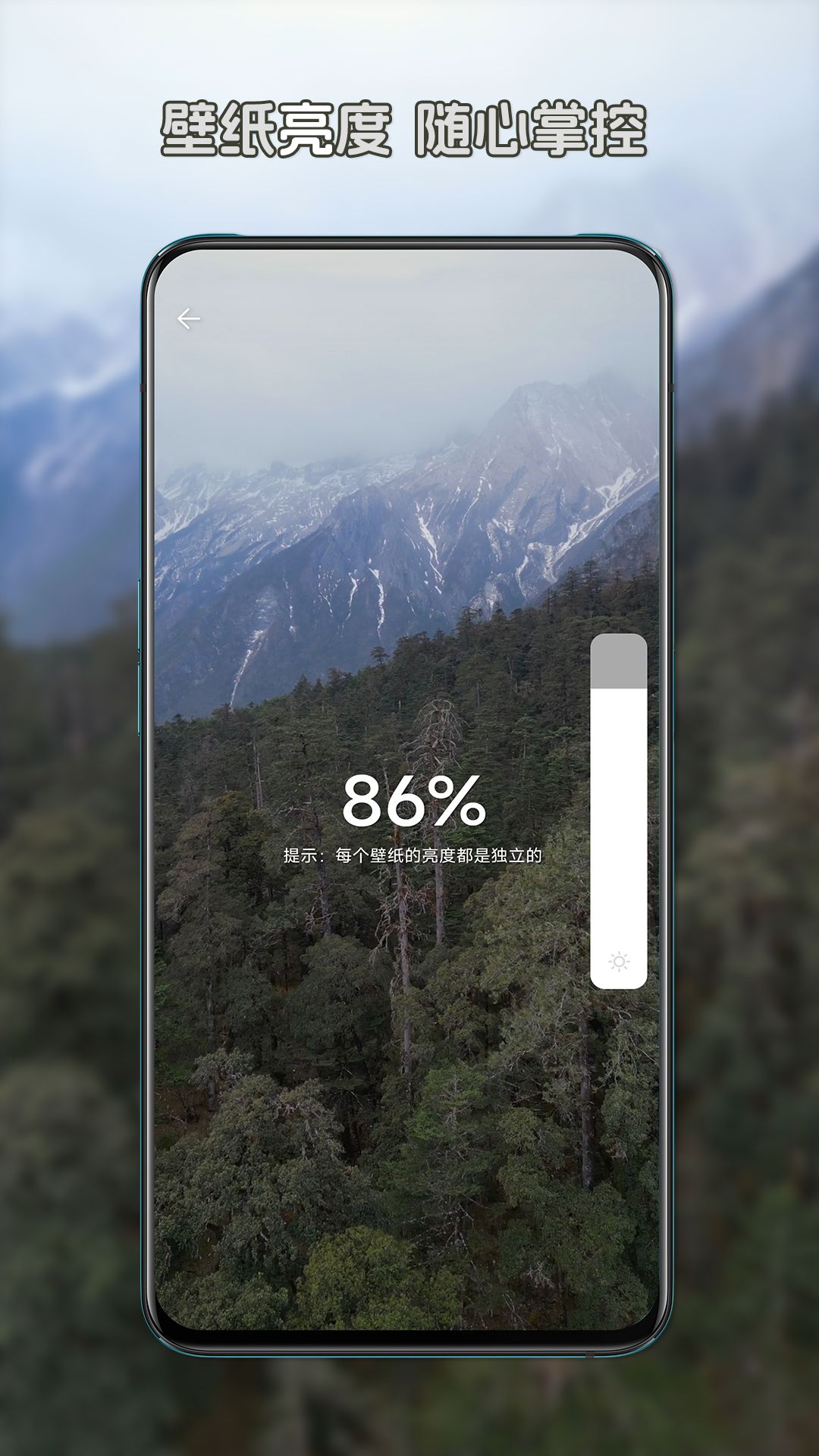 星咩视频壁纸app官方最新版