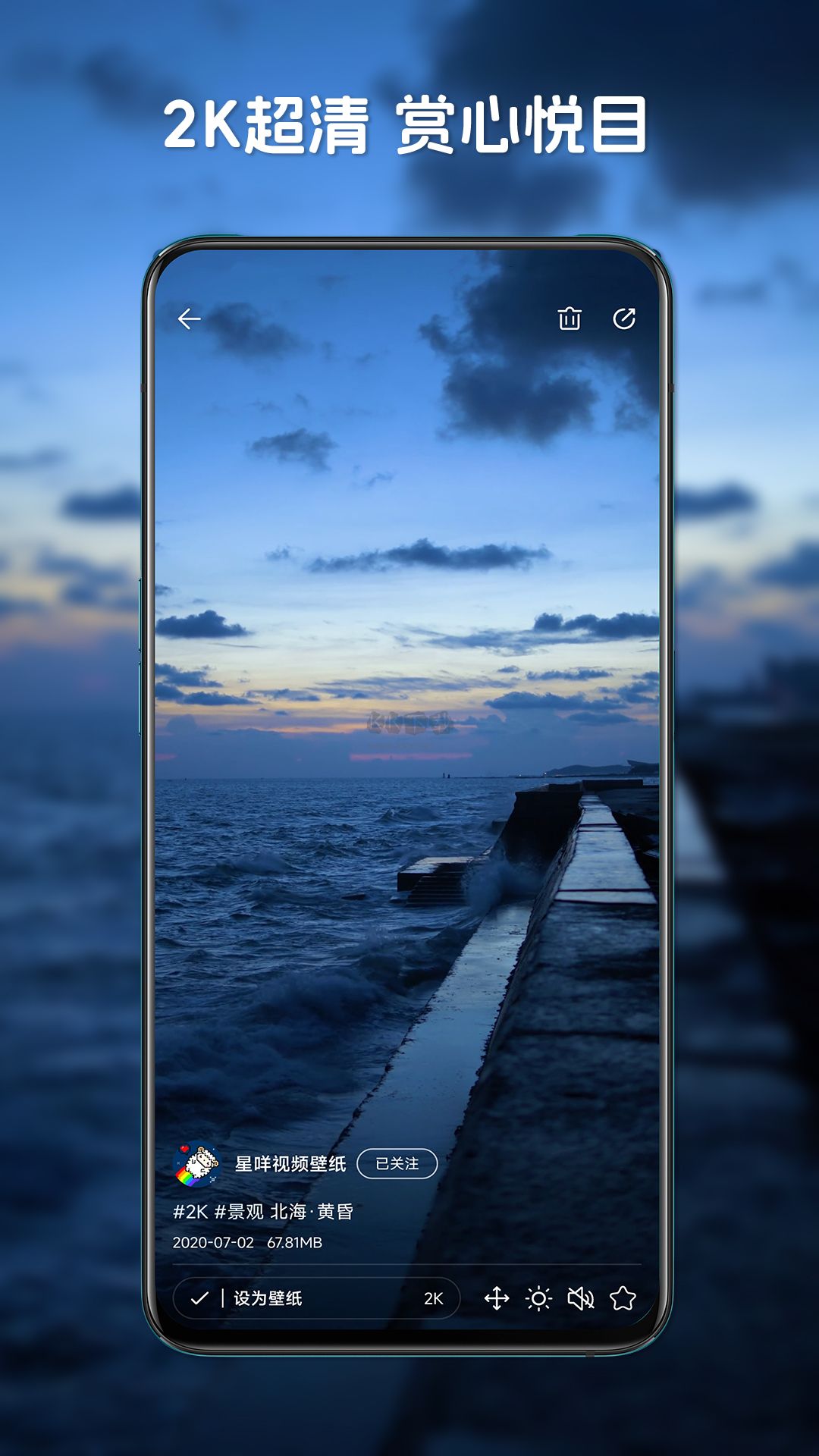 星咩视频壁纸app官方最新版