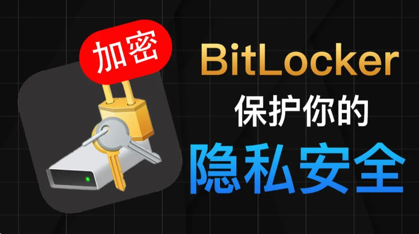 bitlocker下载-bitlocker免费版/最新版-bitlocker各种版本合集