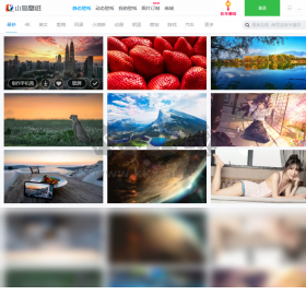 小鸟壁纸电脑版官网最新版