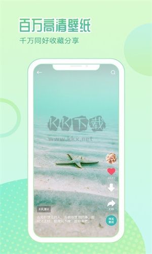 鹦鹉壁纸app安卓版最新