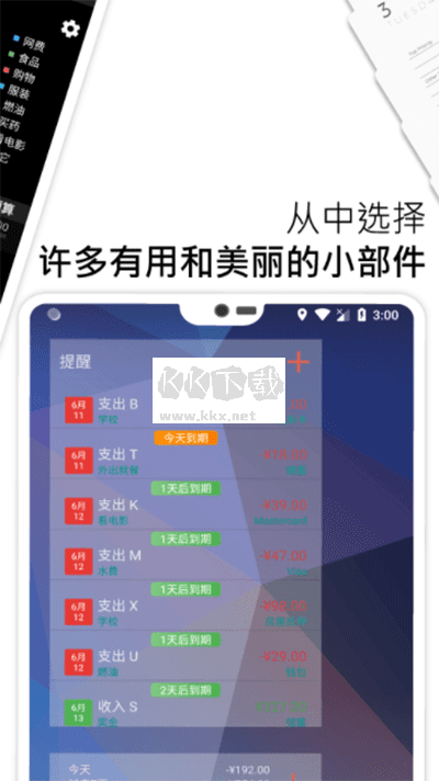 bluecoins最新破解版