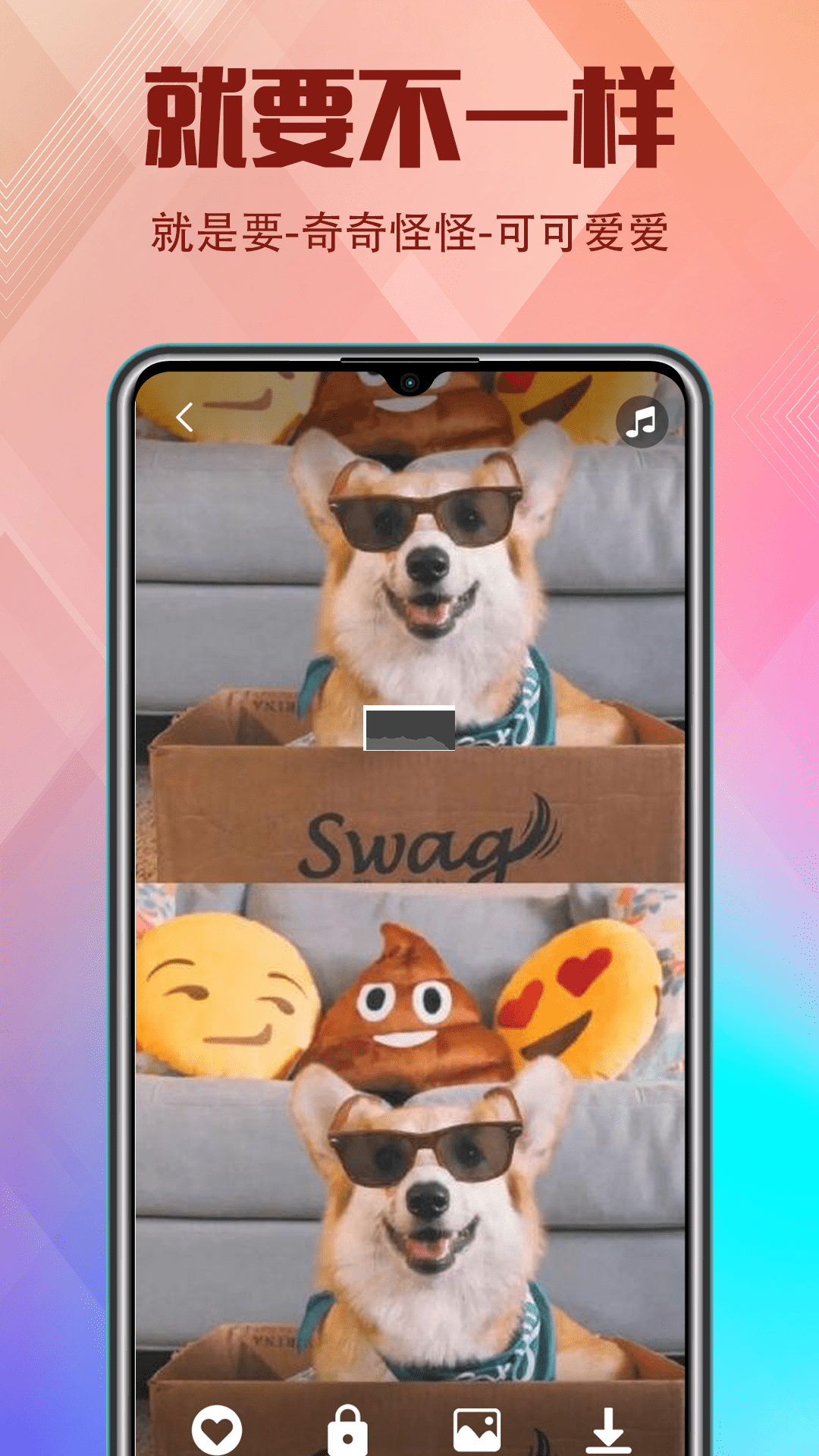 香蕉视频app安卓版2024最新4