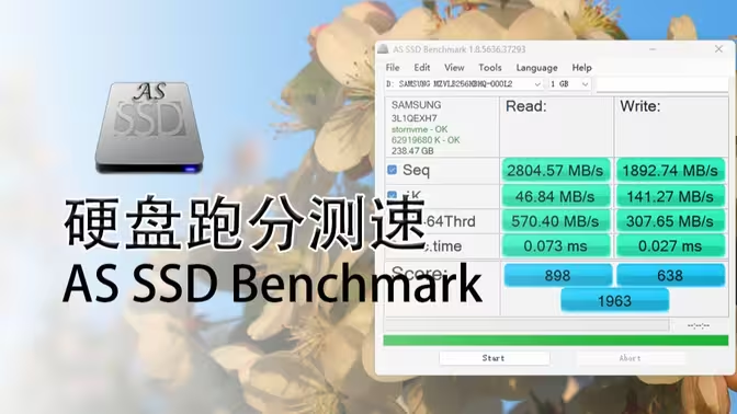 AS SSD Benchmark下载安装-AS SSD Benchmark各种版本合集