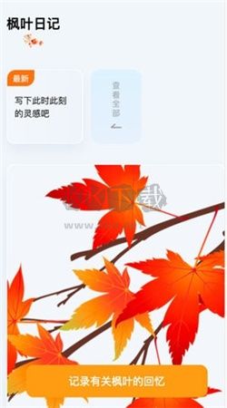 枫叶悦看app安卓官方最新版