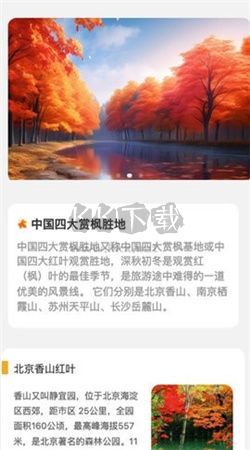 枫叶悦看app安卓官方最新版