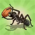 口袋蚂蚁模拟器安卓版 v0.0885