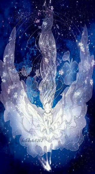 火萤视频壁纸app安卓版最新