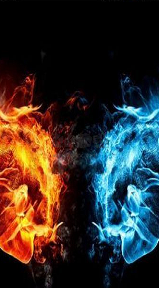 火萤视频壁纸app安卓版最新