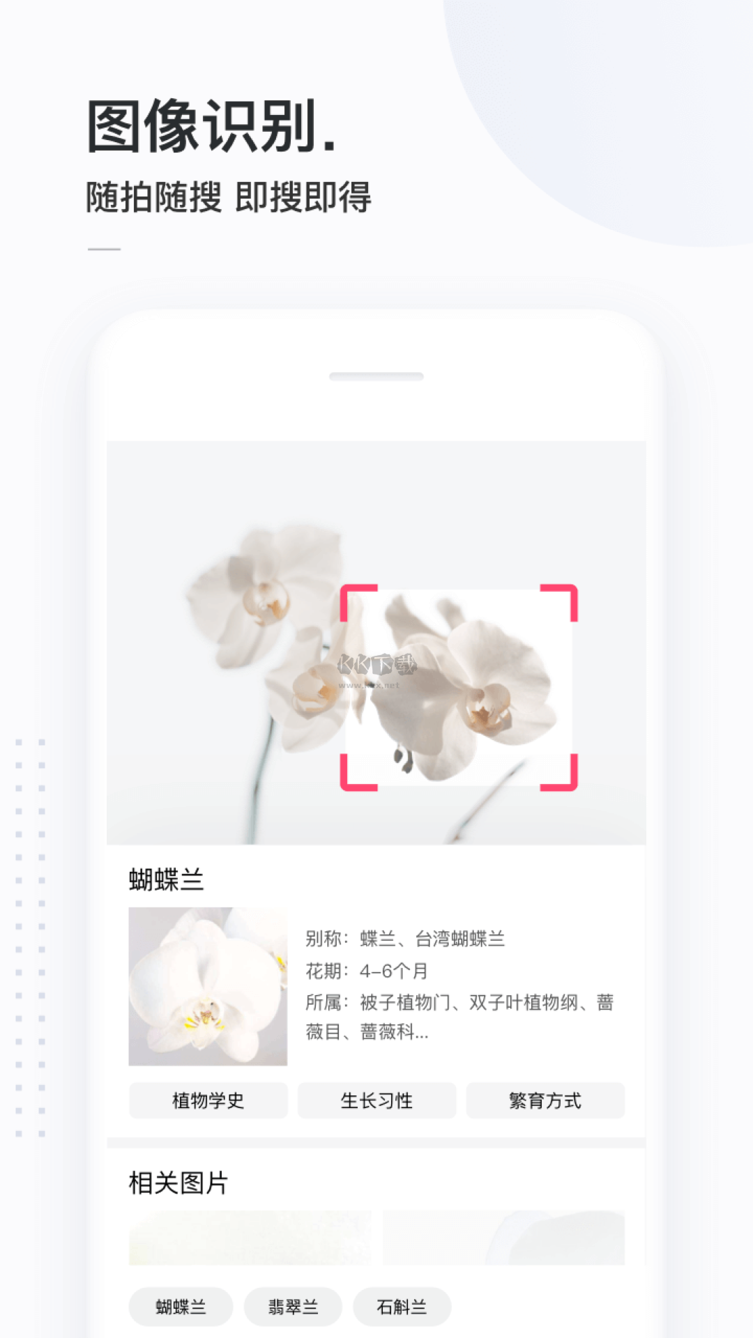 简单搜索app安卓版2024最新