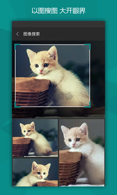 微软必应app官方2024最新版