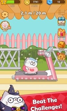 奔跑小猫2024最新版