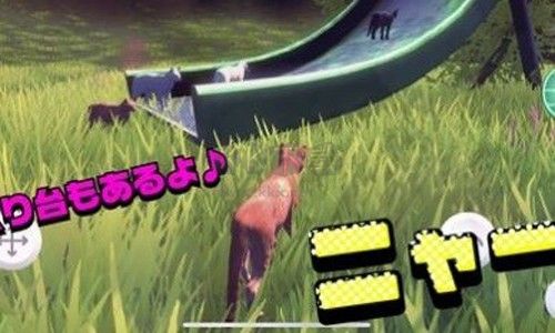猫的春天