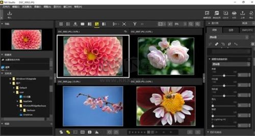 Nikon NX Studio图像处理工具