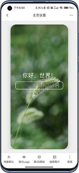 B仔浏览器APP安卓版