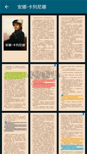 readera专业版
