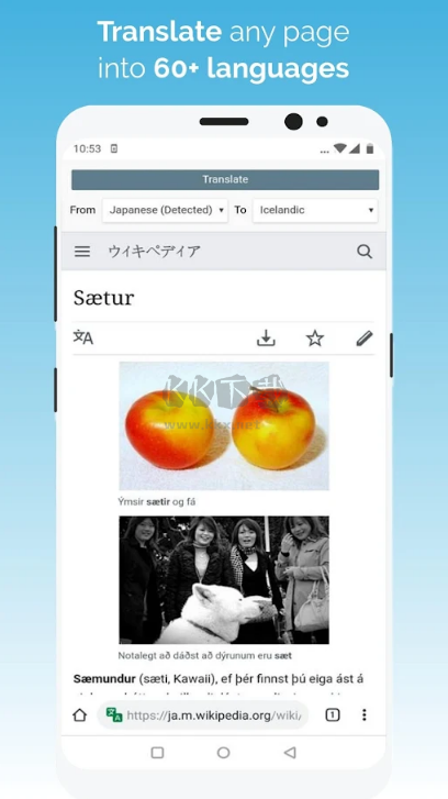 kiwi浏览器app谷歌版