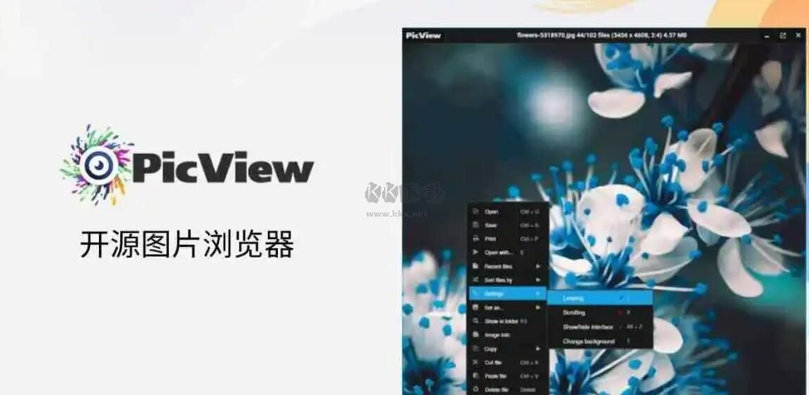 PicView图片浏览