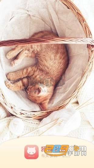 猫咪社区app手机版