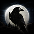  NIGHT CROWS international service v.1.0.28