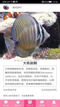 拍照识物免费版