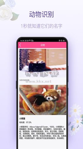 拍照识花神器正版