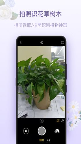 拍照识花神器正版