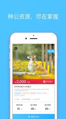 宠爱王国app
