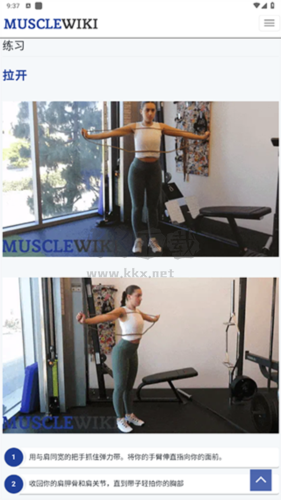 musclewiki官方版图片11