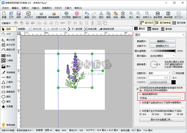 神奇条码标签打印系统标准版