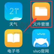 vivo应用商店安装包在哪儿2