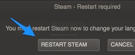 Steam