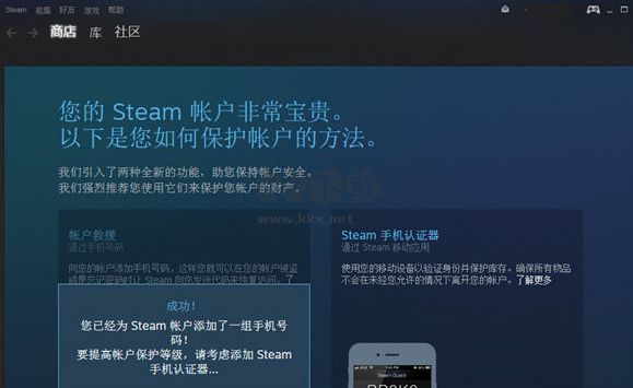 Steam