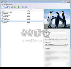Image Tuner(图片批量处理工具)