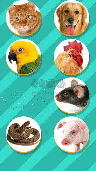 动物翻译器手机版