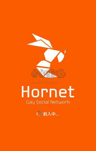 Hornet(聊天软件)