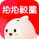 拍拍鲸置手机版 v1.3.7