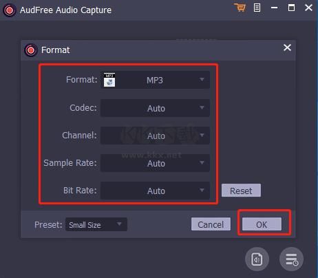 AudFree Audio Capture(音频录制工具)