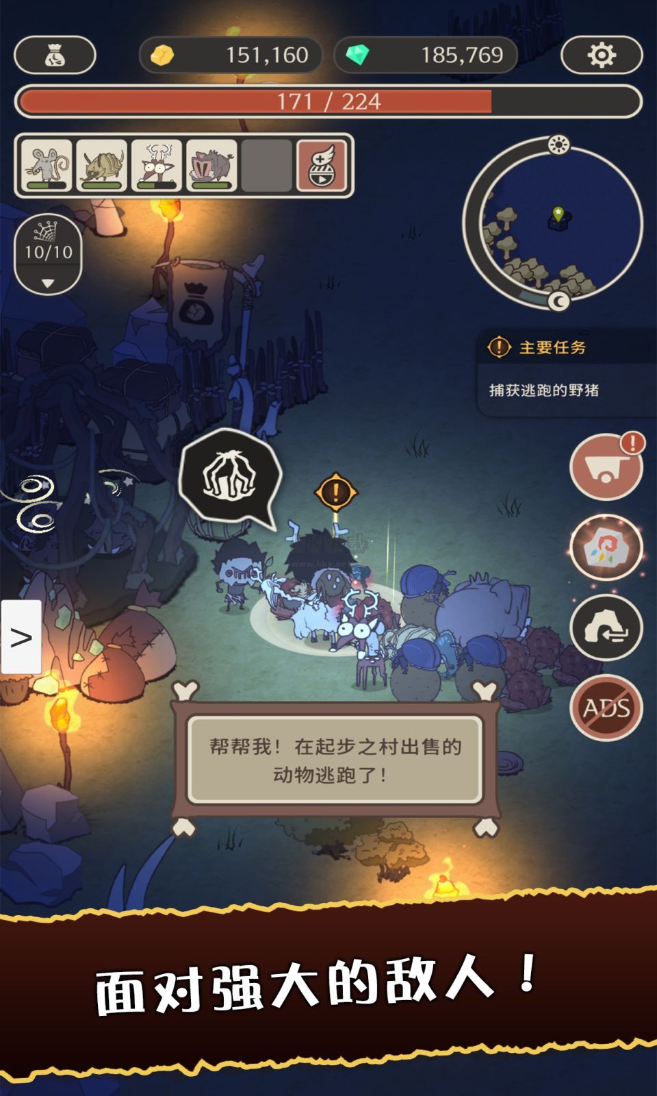 狂野驯兽师：新纪元