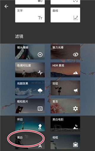 Snapseed最新版