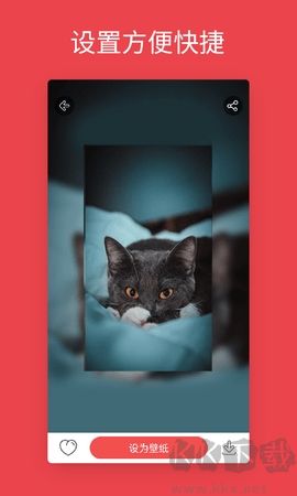 安卓动态壁纸正版
