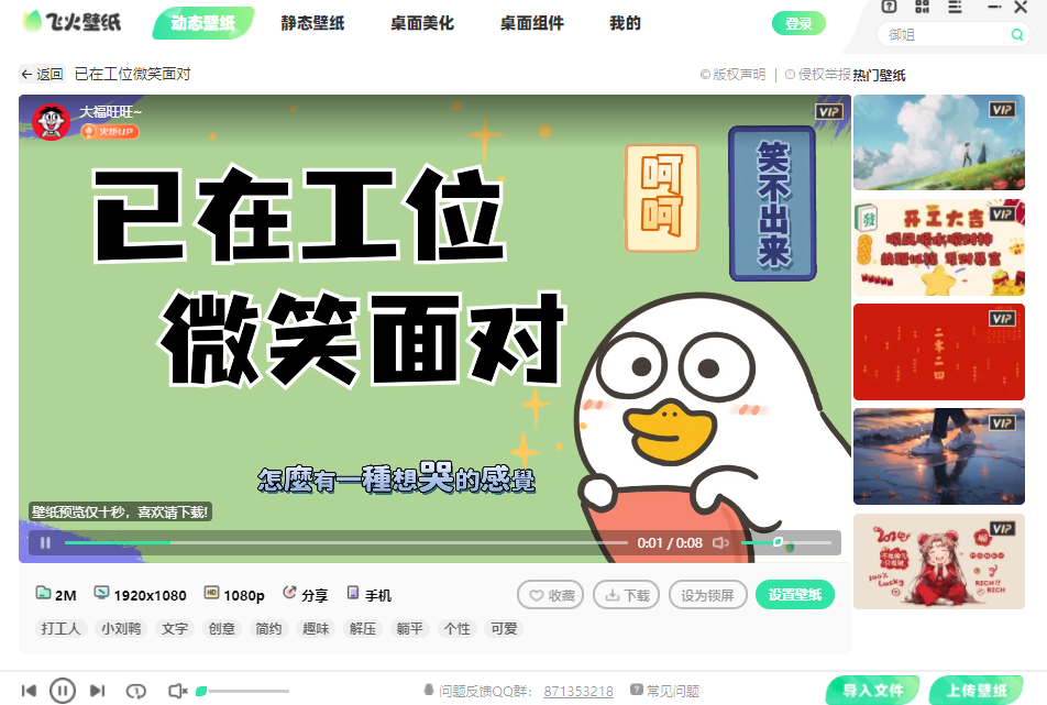 飞火动态壁纸纯净版