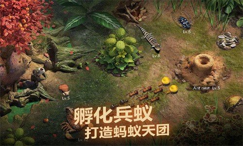 小小蚁国安卓版