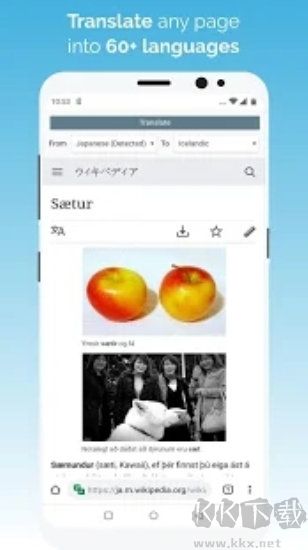 kiwi浏览器高级版
