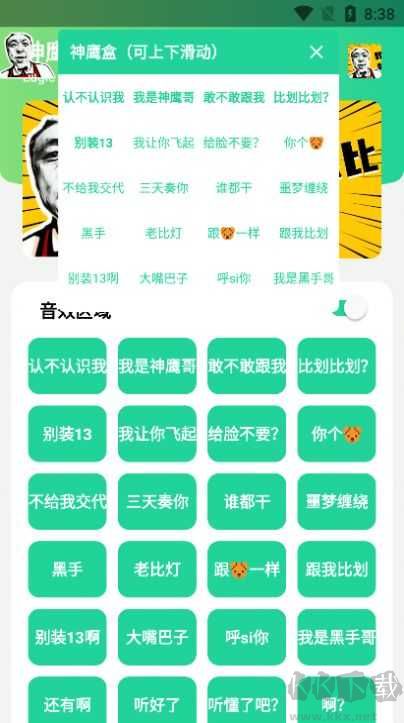 神鹰哥语音包官方版