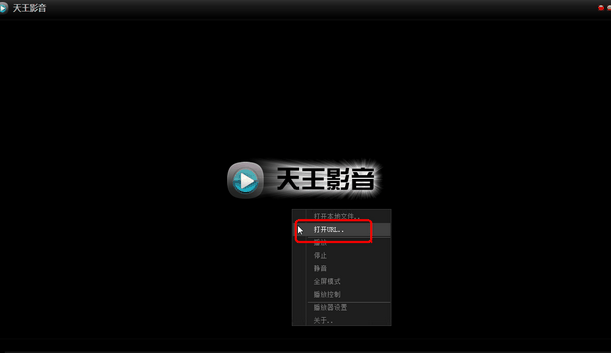 天王影音电脑版