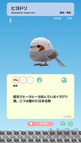 小鸟观察2最新版